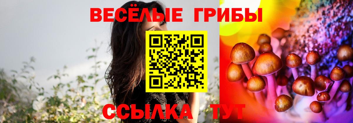 Галлюциногенные грибы GOLDEN TEACHER  Вход с VPN  Кыштым  Галлюциногенные грибы MAGIC MUSHROOMS 